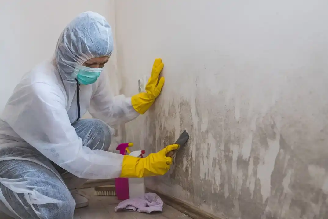 water damage restoration service George Mason
